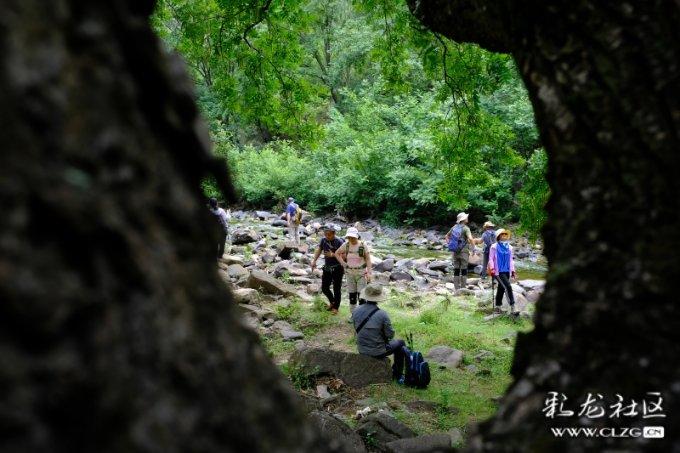 女子在雪天玩雪，展示“庐山升龙霸”，结果一拳打在栏杆上